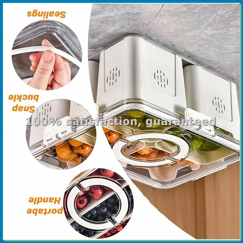 Food Snacks Box - Fruit Tray for Large Picnic Refrigerator