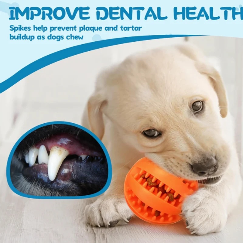 1-4Pcs Dog Toy Snack Ball Inte - огляд і ціна Food Snacks Distribution